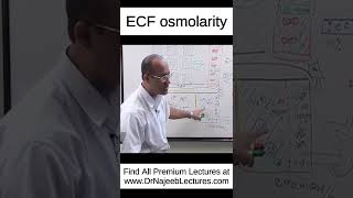 ECF osmolarity shortvideo shorts drnajeeb drnajeeblectures [upl. by Laurena]