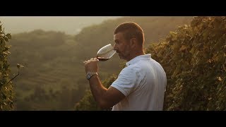 Franzoni Botticino  The hidden gem of Northern Italy wine documentary [upl. by Alveta151]