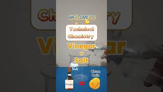 VinegarSalt🧂Clean Coins at Homechemistryexperimenthackshortsviralvideofypfunlearnstemdiy [upl. by Enyahs360]