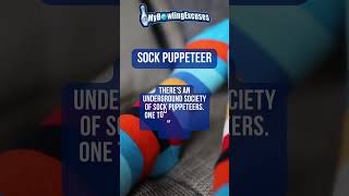 Sock Puppeteer  Wild Bowling Excuses  shorts [upl. by Oriole437]