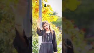 હોમી સાતી🦁🦅 DILIP KARNALA New Trending Song WhatsApp Status [upl. by Nrevel]