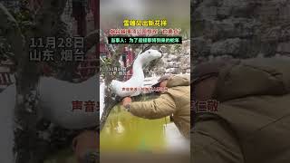 雪雕又出新花樣，煙台氍璜頂公園驚現“白素貞”，當事人：為了迎接即將到來的蛇年。 [upl. by Jerrilee417]