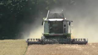 Die Erste Wintergerste ist Reif und Wird von Einen Claas Lexion 750 mit Geringhoff Harvest Star 7 2 [upl. by Eimerej]