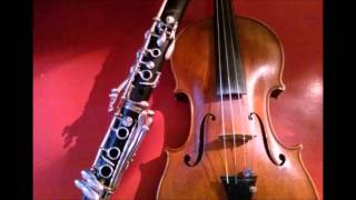 Clarinet Violin Duet  Pirates of the Caribbean [upl. by Harlene]