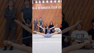 유연성 챌린지⁉️😱 Flexibility Challenge [upl. by Saunder]