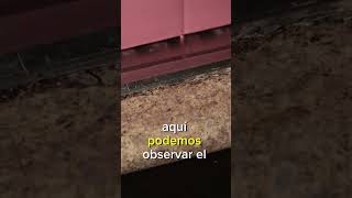 Quitar moho en baños y fregaderos [upl. by Debi161]