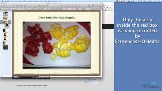 OLD VERSION  Use ScreencastOMatic to make a video of your presentation [upl. by Acsehcnarf995]