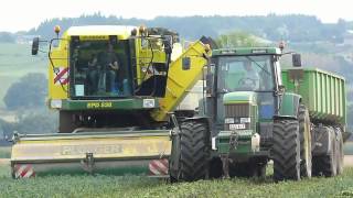 Ploeger Epd 538 at pea harvest 2012 [upl. by Coridon]