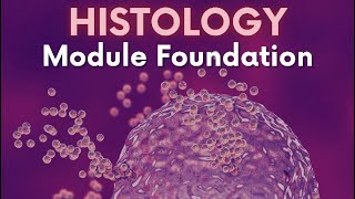 Epithelium 3  Foundation  Dr Nada [upl. by Kariv]