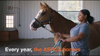 ASPCA HAL Winners 2022 Teaser [upl. by Branden]