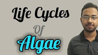 Life Cycles of algae with diagram  diplontic haplontic and haplodiplontic isomorphic lifecycle [upl. by Yerggoeg]