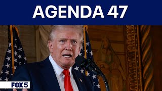 Trumps quotAgenda 47quot calls for sweeping changes to federal workforce [upl. by Mozelle]