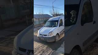 Dog honks car to signal walk in Viedma Argentina [upl. by Berkman]