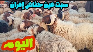 مباشرة من سوق سبت عين حناش إفران اليوم 162024 مع أثمنة حولي عيد الأضحى وحولية وجدي [upl. by Ibrab180]