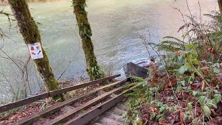 Alsea River boat side  Missouri Bend [upl. by Yrebmik]