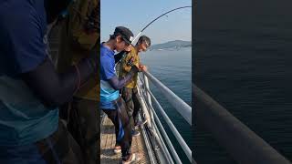 Mancing dipinggiran  Joran hampir patah gopro12black fishing kakapputihbabon fyp [upl. by Siram]