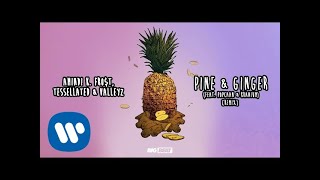 Amindi Tessellated amp Valleyz – Pine amp Ginger Remix feat Popcaan amp Kranium Official Audio [upl. by Rubetta]