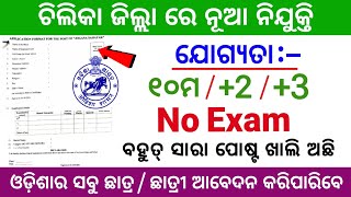 Odisha govt job vacancy in chilika  Qualification  10th 2 3  Apply all odisha student [upl. by Mensch]