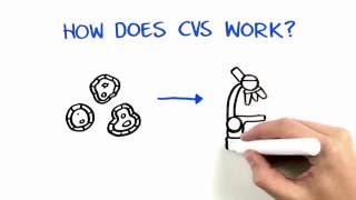 Chorionic Villus Sampling CVS [upl. by Kimon783]