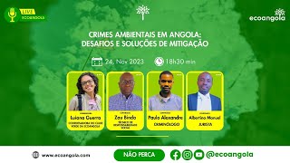 Crimes Ambientais em Angola⚖️🌿 [upl. by Dede]