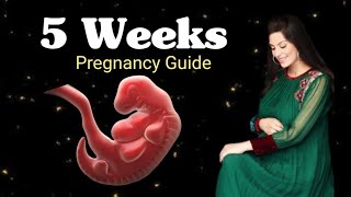 Pregnancy at 5 weeks week by week pregnancy  pregnancy guide  mothers guide [upl. by Eicram]