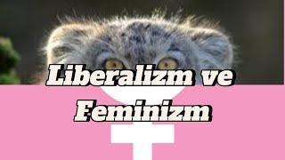 Liberal Feminizm Nedir  Liberalizm ve Feminizm [upl. by Buckie530]