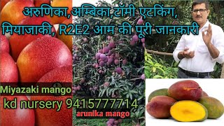 COLOURED VARIETY MANGO  अरुणिका अम्बिका टॉमी मियाजाकी r2e2 [upl. by Odidnac113]