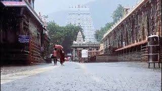 Tiruvannamalai live rain [upl. by Ahcmis]