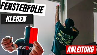 Fensterfolie einfach selber Anbringen ⎜ANLEITUNG 🤙🏼 [upl. by Binny]