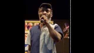 Vincy Calypso 2014  ZionI  WATCH TROUBLE IN THE COUNTRY [upl. by Gardy]