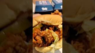 Pickl Burger shortvideo viralshort asmr satisfayingsounds [upl. by Nahtiek264]