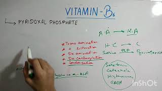 biochem of vitamin B6 [upl. by Ursel]