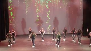 Boom Boom Boom Dance  Sevenn and Tiësto hiphop bollydancedipti2545 [upl. by Eiramanitsirhc]