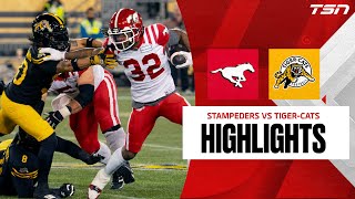 CFL WEEK 20 Calgary Stampeders vs Hamilton TigerCats FULL HIGHLIGHTS [upl. by Gurolinick]