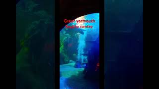 Great yarmouth Sealife Centre [upl. by Lamraj]