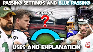 My Passing Settings And What is Blue Passing Madden NFL 24 Tips and Guides [upl. by Margo]