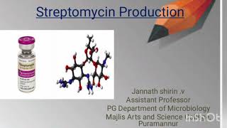 Streptomycin Production FermentationMediaorganismRecovery [upl. by Strickland401]