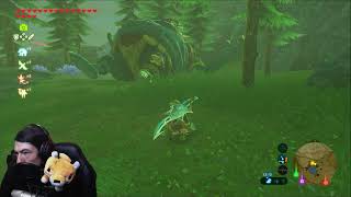 Fortschritt mit den Nebenquests ► THE LEGEND of ZELDA BREATH of the WILD ► Mit Alia [upl. by Shaun822]