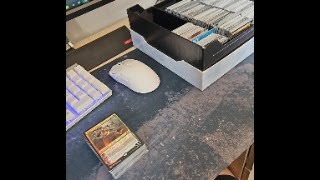 Organizando 10 mil cartas de Magic The Gathering [upl. by Dustan]