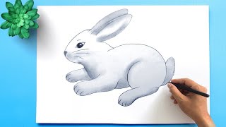 how to draw easy rabbit drawing  easy rabbit drawing  rabbit drawing animals drawing [upl. by Atenaz]