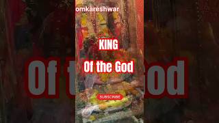 👑 omkareshwar 👑 KING SHIVA 👑 shorts youtubeshorts viralshorts viral [upl. by Dafna630]