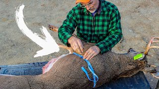 WEIGH A DEER WITH ONLY A TAPE MEASURE [upl. by Ettennan]