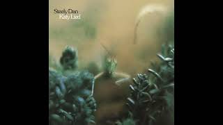 Steely Dan  Doctor Wu  Katy Lied HQ Audio [upl. by Allez745]