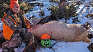 Bull Elk Down Elk Hunt 2023 Part II [upl. by Mcleod822]