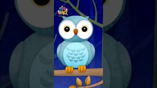 🦉Why Do Owls Keep Bobbing Their Heads💤SRHQ🚀 animation puzzle Shorts owl animals funny [upl. by Inaluahek407]