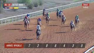 Live Hippodrome « SETTAT »  Courses du « 25102023 » [upl. by Raleigh]