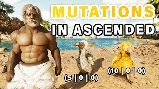 How to Get Mutations in ASA  Breeding amp Stacking Mutations COMPLETE GUIDE ► Ark Survival Ascended [upl. by Enimasaj]