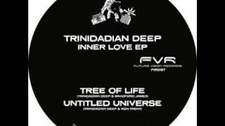 Trinidadian Deep  My Love Chase [upl. by Trebma834]