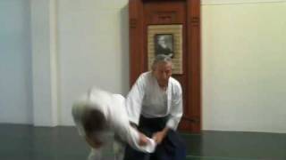 Aikido Shihan Robert Nadeau Two Forces Create The Field [upl. by Auberon]