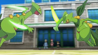 Ashs Sceptile Vs Sawyers Sceptile  Comparison video [upl. by Sivet]